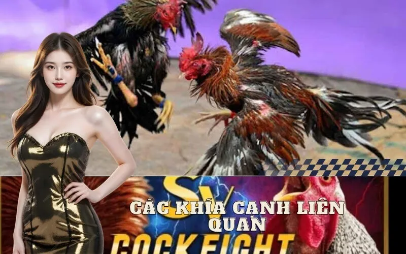 Các Khía Cạnh Liên Quan