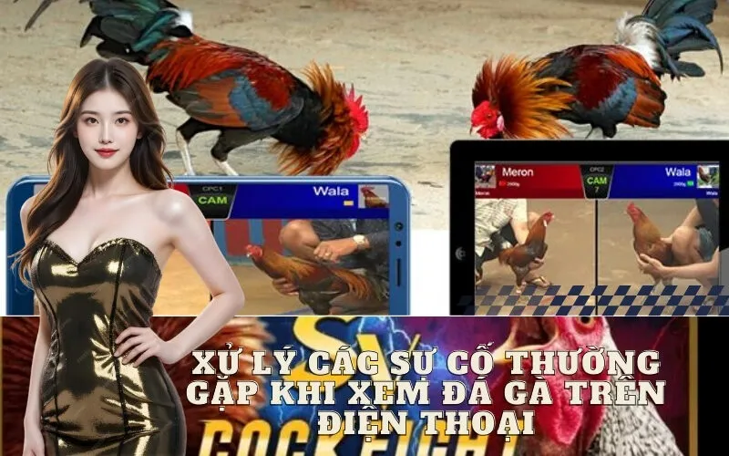 Xử Lý Các Sự Cố Thường Gặp Khi Xem Đá Gà Trên Điện Thoại
