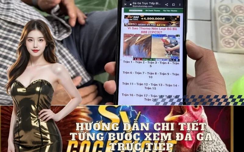 Hướng Dẫn Chi Tiết Từng Bước Xem Đá Gà Trực Tiếp