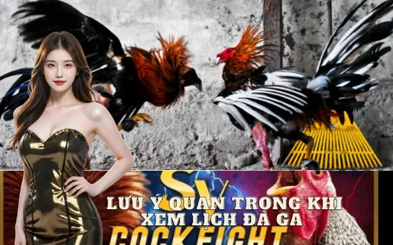 Lưu Ý Quan Trọng Khi Xem Lịch Đá Gà